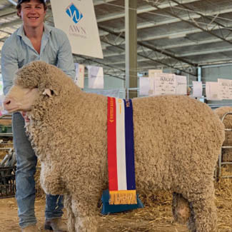 smallpics__0000_Layer 15