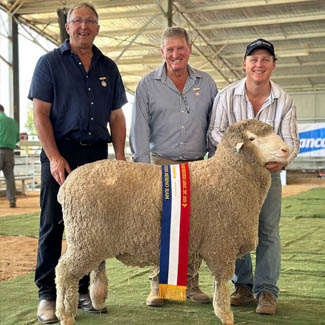 smallpics__0000_Layer 17