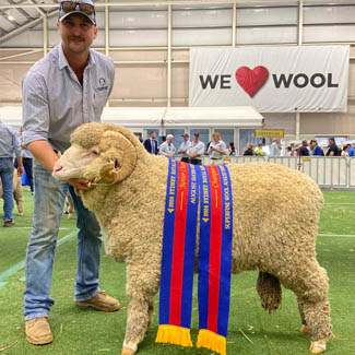 smallpics__0000_Layer 18