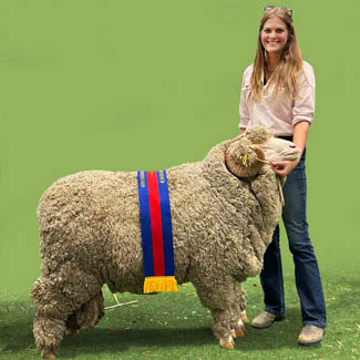 smallpics__0000_Layer 19