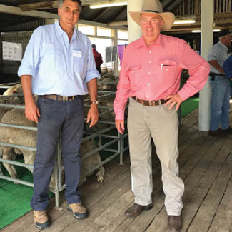 smallpics__0002_Layer 13