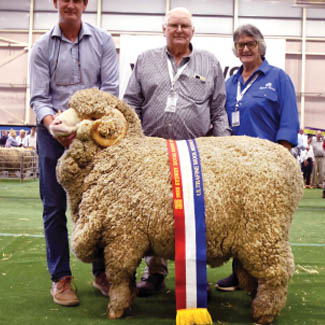 smallpics__0003_Layer 12