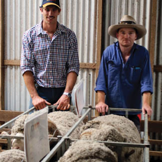 smallpics__0004_Layer 11