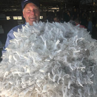 smallpics__0005_Layer 10