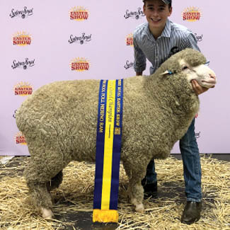 smallpics__0007_Layer 8