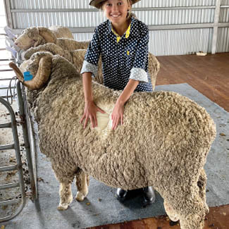 smallpics__0008_Layer 7