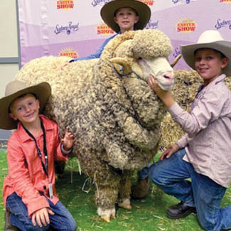 smallpics__0011_Layer 4