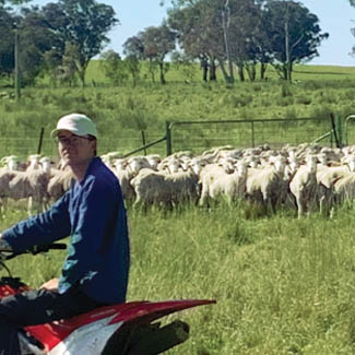 smallpics__0012_Layer 3