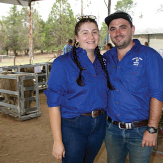 smallpics__0013_Layer 2