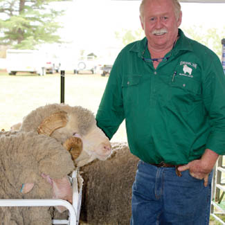 smallpics__0014_Layer 1